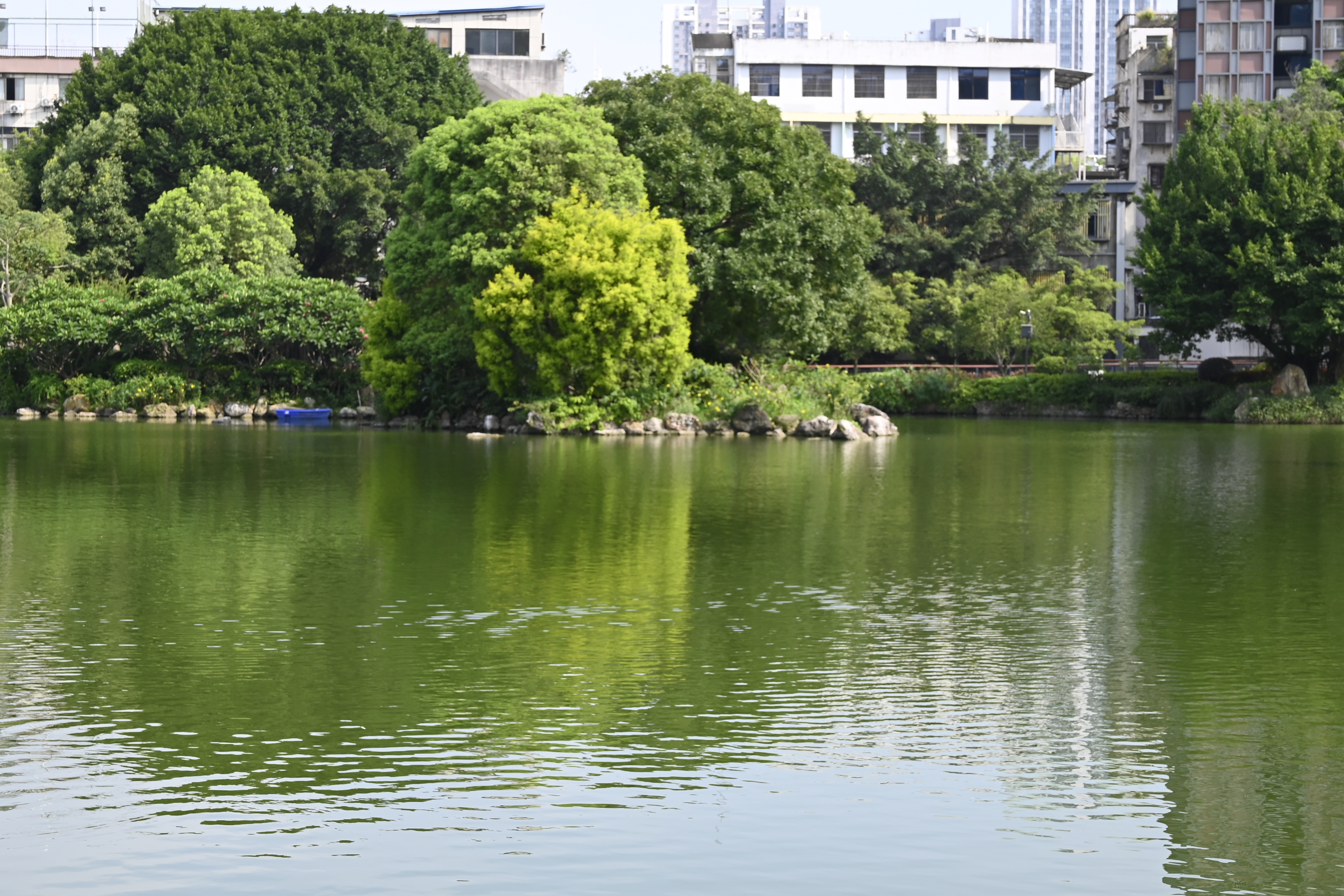 黎明湖临湖茶座日落